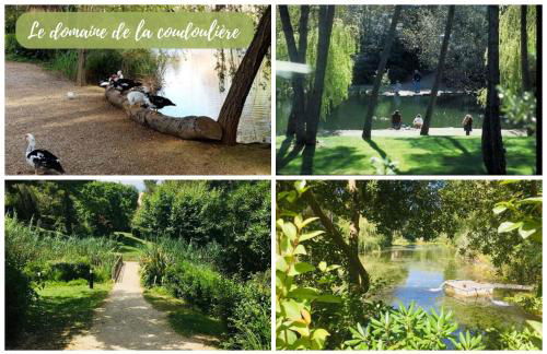 Blue Lagoon - Foto 57