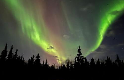 Knik Wilderness Getaway - Foto 19