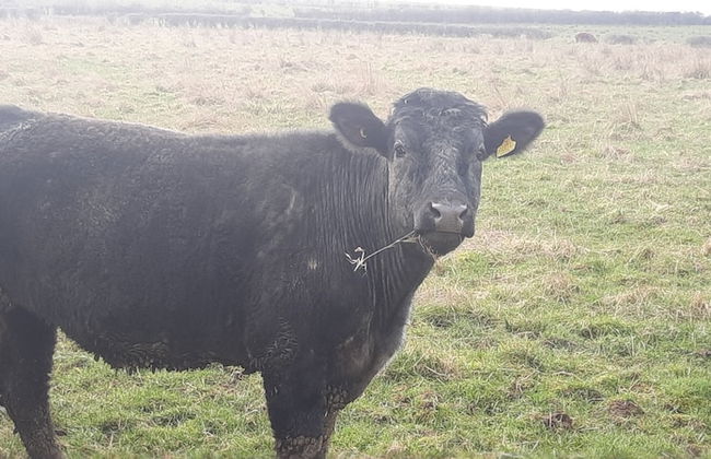 Cozy Lanarkshire Apartment With a View - Foto 14