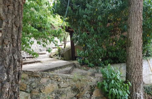 GITE BAS-EN-BASSET, HAUTE-LOIRE, MAISON et JARDIN ATYPIQUE PLEINE NATURE - Foto 11