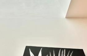 Les Gîtes de la Chapelle 4 - Photo 54