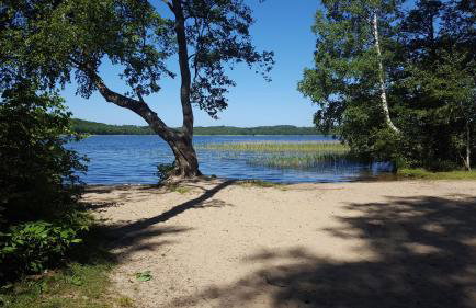 Brzozowa Polana - Foto 56