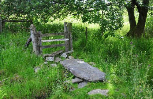 Bryn Isaf Tregaron - Foto 16