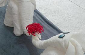 Apartamento no Iloa Residence - Com Enxoval Completo - Foto 11