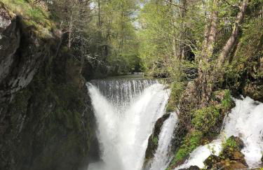 Chalet 10 pers sauna & SPA La tanière des Vosges - Foto 54