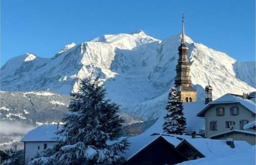 Chalet récent vue panoramique sur le MONT-BLANC - Photo 33