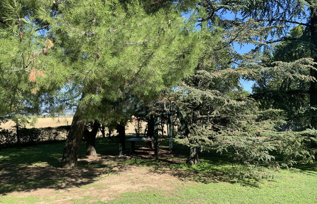 Maria Rosaria - Foto 27