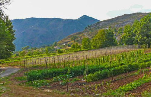 Agriturismo Terrerosse di Massadita - Foto 60