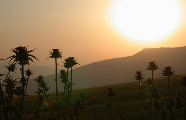 La Escuela del Campo - Photo 15
