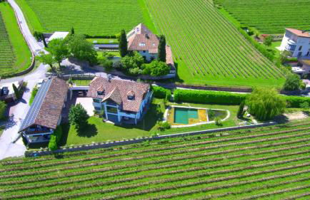 Oberberghof - Foto 12