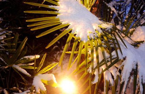 Apparthotel Gartenresidence Nalserhof - Foto 112