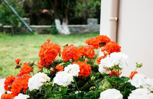 Asteria House - Foto 56