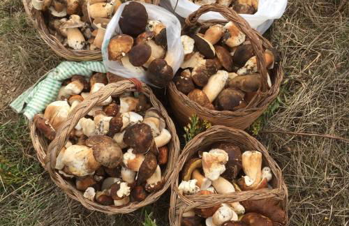 Sogno Sulcitano Masainas - Foto 60