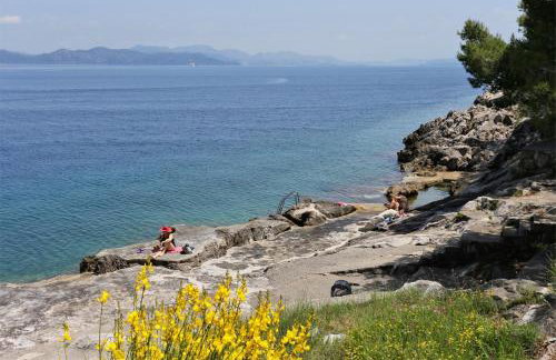 Apartments by the sea Trpanj, Peljesac - 15995 - Foto 2
