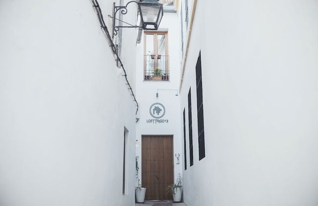 Lofts Trigo 13 - Photo 60