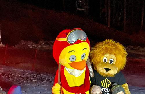 Duplex 6 à 8 couchages calme avec solarium plein Sud - Foto 61