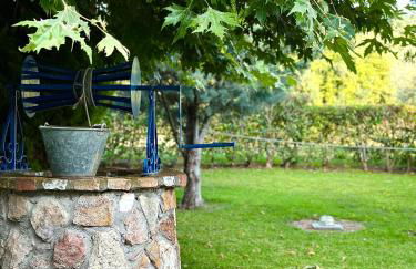 Viki Studios - Foto 49