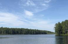 Luxury Forest Lake House - Privacy, Nature, Conveniences - New 2 bedroom - Foto 17