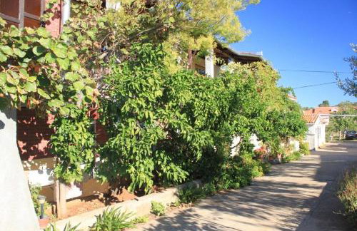 Apartments by the sea Ugljan - 8423 - Foto 8