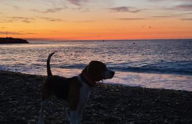 Villa Ange Azur 2 - Foto 17