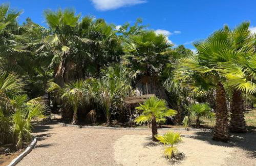 CASA RURAL EN BOSQUE DE PALMERAS - Foto 39