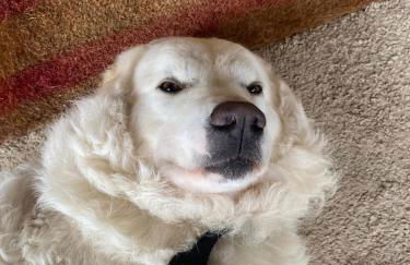 Agriturismo Tenute di Hera - Via Francigena - Foto 16