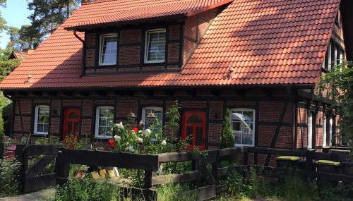 Welsh Dragon - Foto 3