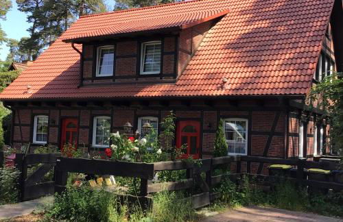 Welsh Dragon - Foto 3