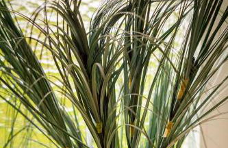 Lehrerwohnung - Foto 24