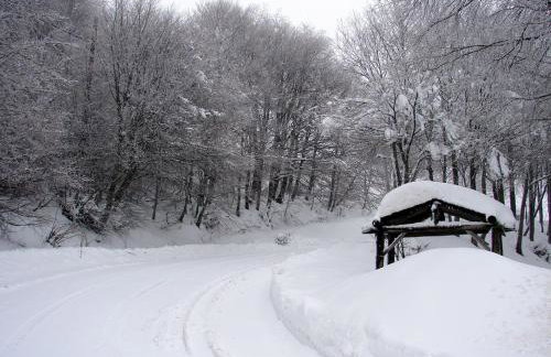 Traditional Stone House in pelion - Foto 25