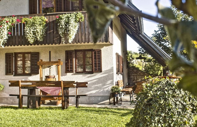 Vineyard cottage Podrzaj - Foto 12