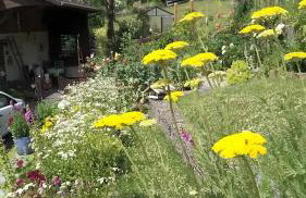 Ferienwohnung Zur Waldroute - Photo 6