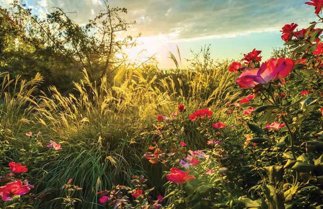 Holiday Inn Club Vacations Villages Resort at Lake Palestine by IHG - Photo 69