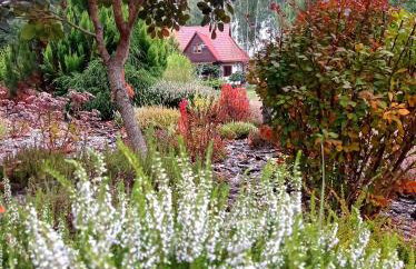 Siedlisko Gruszki Puszcza Białowieska - Foto 55