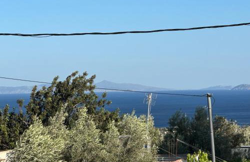 Elenas House - Foto 14