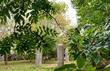 Casa do Paço Aveiro - HolidayHome - Foto 35