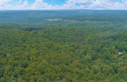 Serenity Escape Treehouse on 14 acres near Little River Canyon - Foto 17