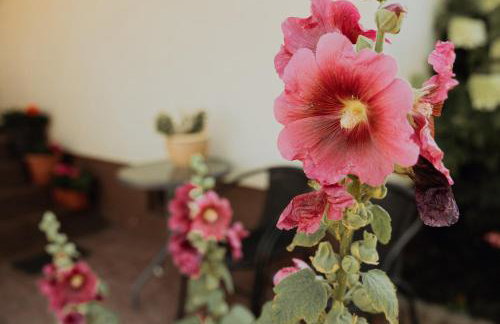 Noclegi na Wzgórzu Sopotnia Wielka - Foto 6