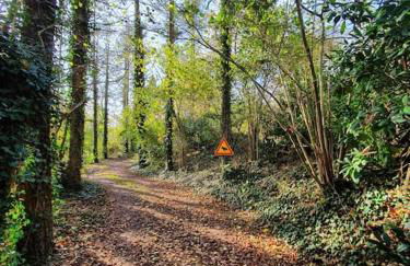 Ferienhaus blauer See mit optionalem Hot-Tub - Foto 24