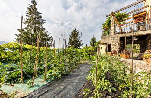 Nonna Gina - Foto 31