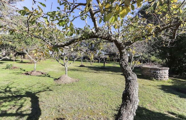 Sintra Classic Villa by Homing - Foto 80