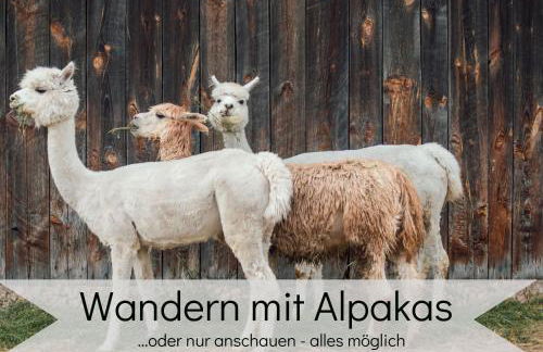 LaLeLou Braunlage, perfekt für Familien, zentral mit Garten 120qm, inkl Wäschepaket und WLAN, Boxspringbett, 6 Personen - Foto 57