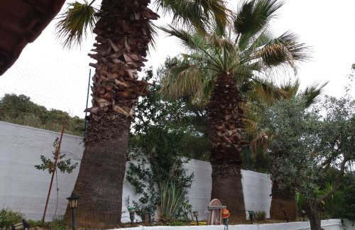 Aliki House - Foto 30