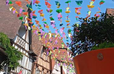 Les charmes de la Kirneck - Photo 31