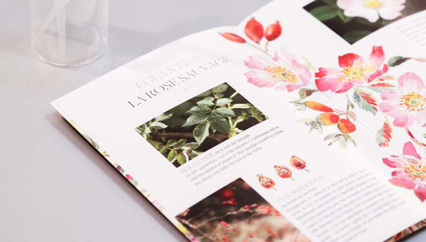 Matériel utilisé pendant l'atelier