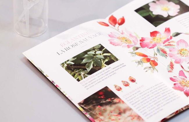 Laboratorio di profumi Fragonard - Foto 5