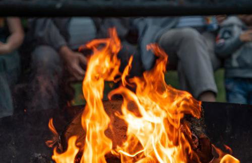 Apartamenty Pod Dębami Stadnina Koni SPA Jezioro i Morze Sarbsk - Photo 19