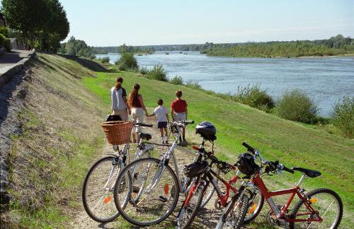 Gite Nature Loire et Châteaux 3* - Foto 39