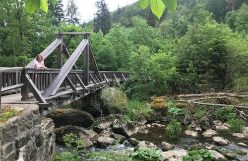 Tolle Ferienwohnung mit Loggia in Schauenstein 100qm bei Hof an der Saale Frankenwald - Foto 59