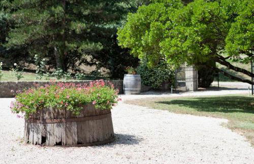 Tenuta San Filippo - Foto 36